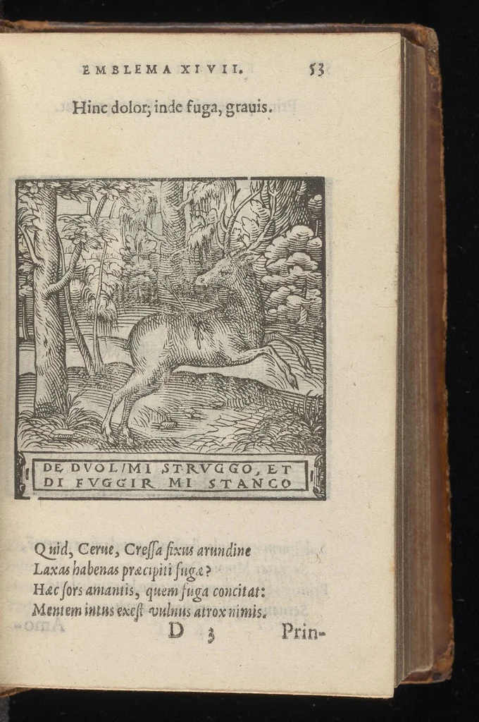An illustration from Hadriani Iunii medici Emblemata : eiusdem ænigmatum libellus, 1569, leaf 56