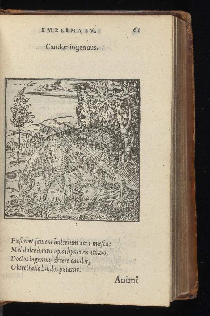 An illustration from Hadriani Iunii medici Emblemata : eiusdem ænigmatum libellus, 1569, leaf 64