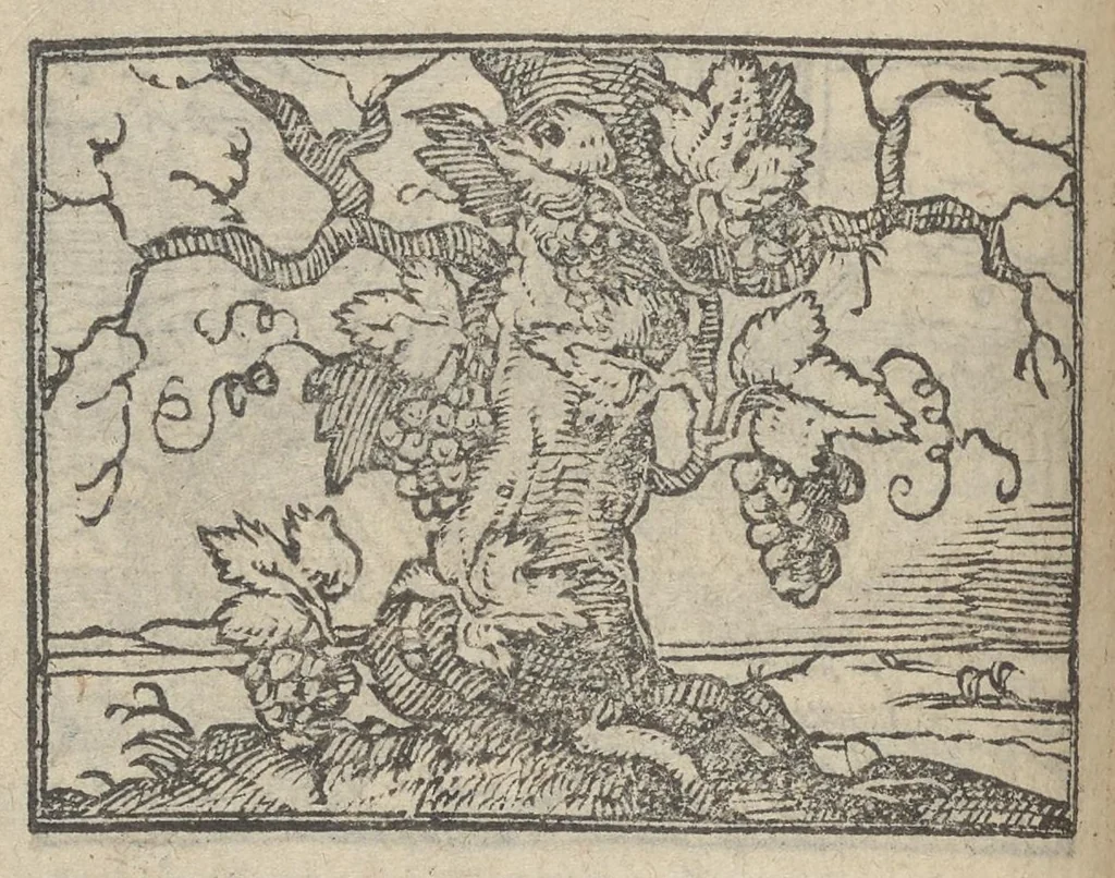 An illustration from Emblematvm clarissimi viri D. Andreæ Alcati [i.e. Alciati] libri II : additæ sunt aliquot in altero libro figuræ, 1567, leaf 17
