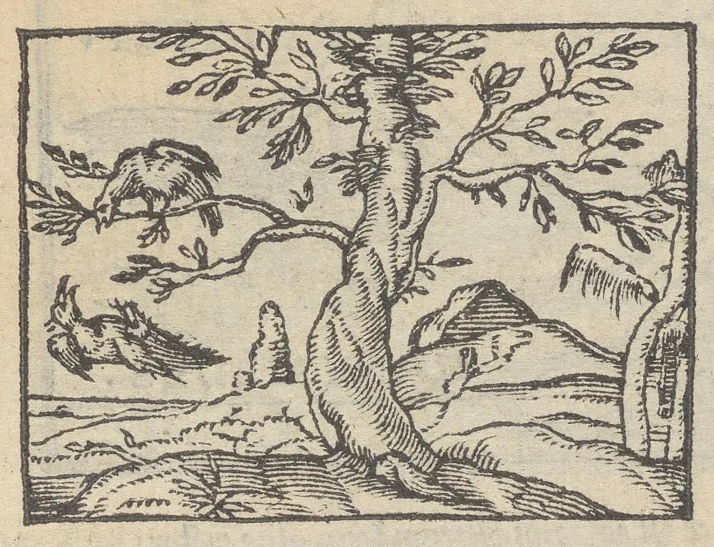 An illustration from Emblematvm clarissimi viri D. Andreæ Alcati [i.e. Alciati] libri II : additæ sunt aliquot in altero libro figuræ, 1567, leaf 36