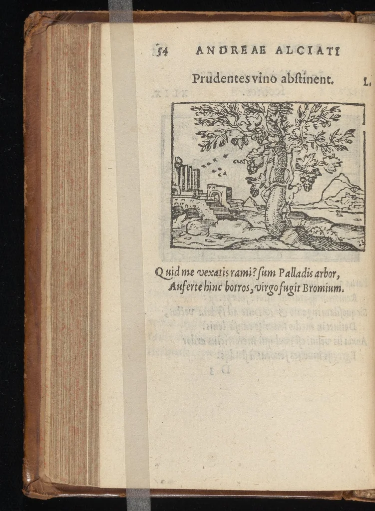 An illustration from Emblematvm clarissimi viri D. Andreæ Alcati [i.e. Alciati] libri II : additæ sunt aliquot in altero libro figuræ, 1567, leaf 55