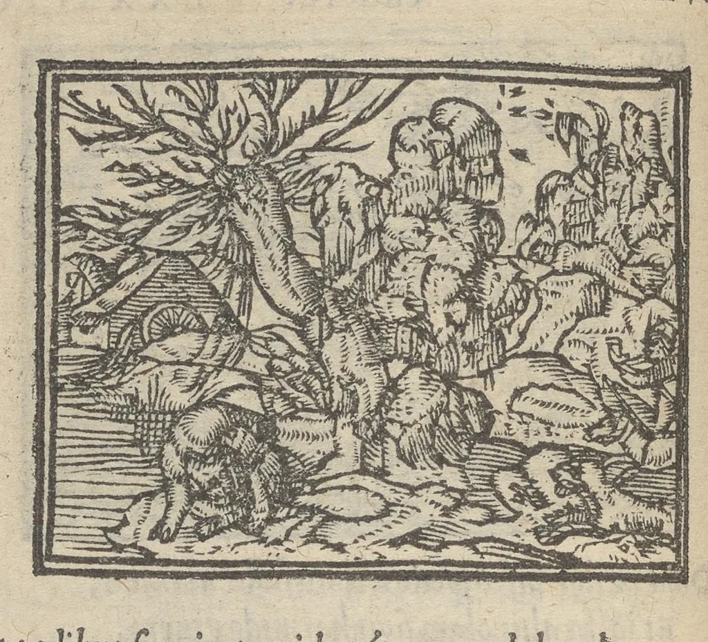 An illustration from Emblematvm clarissimi viri D. Andreæ Alcati [i.e. Alciati] libri II : additæ sunt aliquot in altero libro figuræ, 1567, leaf 89