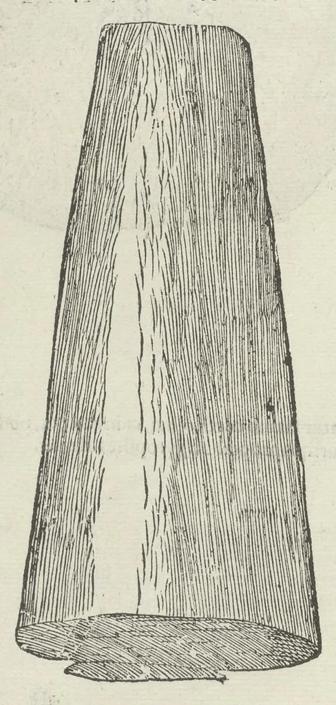 An illustration from Vlyssis Aldrouandi patricii Bononiensis Musaeum metallicum in libros IIII distributum, 1648, leaf 103