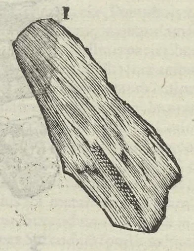 An illustration from Vlyssis Aldrouandi patricii Bononiensis Musaeum metallicum in libros IIII distributum, 1648, leaf 35