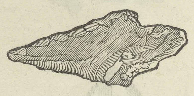 An illustration from Vlyssis Aldrouandi patricii Bononiensis Musaeum metallicum in libros IIII distributum, 1648, leaf 621