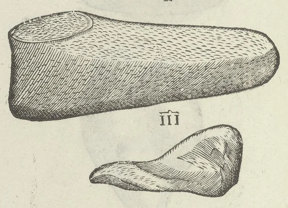 An illustration from Vlyssis Aldrouandi patricii Bononiensis Musaeum metallicum in libros IIII distributum, 1648, leaf 757