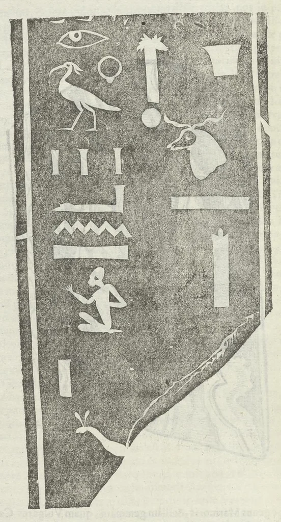 An illustration from Vlyssis Aldrouandi patricii Bononiensis Musaeum metallicum in libros IIII distributum, 1648, leaf 767