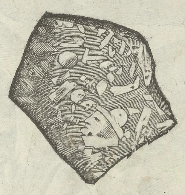 An illustration from Vlyssis Aldrouandi patricii Bononiensis Musaeum metallicum in libros IIII distributum, 1648, leaf 772