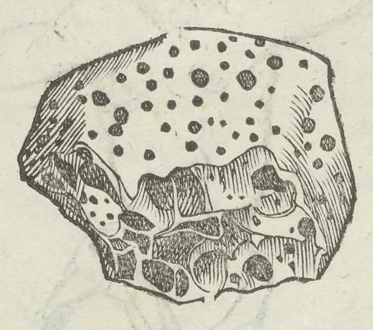 An illustration from Vlyssis Aldrouandi patricii Bononiensis Musaeum metallicum in libros IIII distributum, 1648, leaf 777