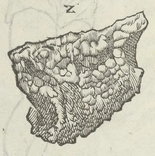 An illustration from Vlyssis Aldrouandi patricii Bononiensis Musaeum metallicum in libros IIII distributum, 1648, leaf 777