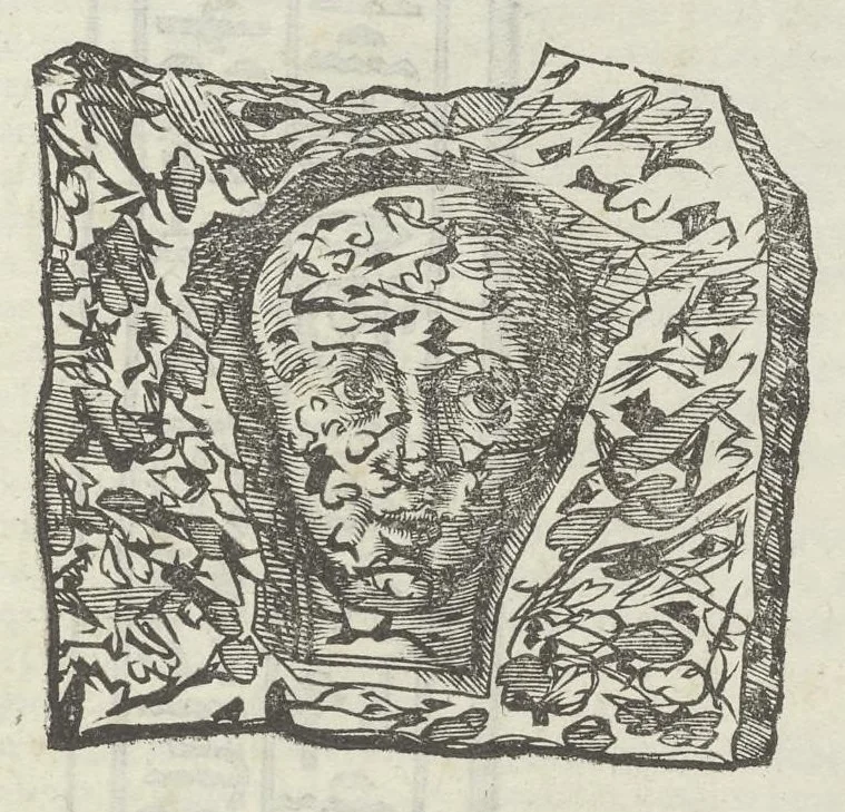 An illustration from Vlyssis Aldrouandi patricii Bononiensis Musaeum metallicum in libros IIII distributum, 1648, leaf 794