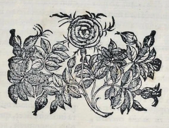 An illustration from Hieronymi Pradi et Ioannis Baptistae Villapandi e Societate Iesv In Ezechielem explanationes et apparatus vrbis ac templi Hierosolymitani : commentariis et imaginibvs illvstratvs : opvs tribvs tomis distinctvm .., 1596, leaf 110
