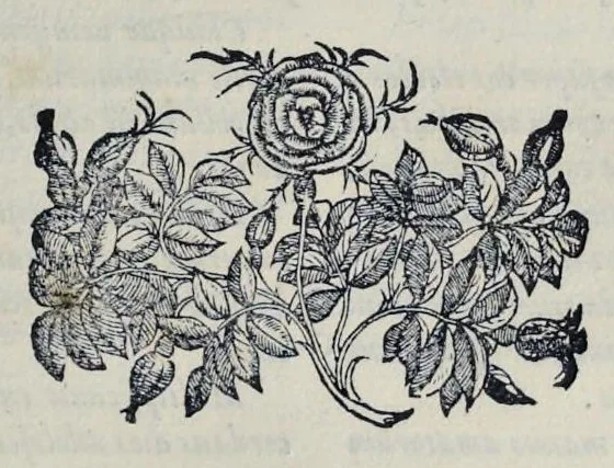 An illustration from Hieronymi Pradi et Ioannis Baptistae Villapandi e Societate Iesv In Ezechielem explanationes et apparatus vrbis ac templi Hierosolymitani : commentariis et imaginibvs illvstratvs : opvs tribvs tomis distinctvm .., 1596, leaf 300
