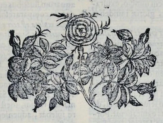 An illustration from Hieronymi Pradi et Ioannis Baptistae Villapandi e Societate Iesv In Ezechielem explanationes et apparatus vrbis ac templi Hierosolymitani : commentariis et imaginibvs illvstratvs : opvs tribvs tomis distinctvm .., 1596, leaf 344