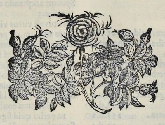 An illustration from Hieronymi Pradi et Ioannis Baptistae Villapandi e Societate Iesv In Ezechielem explanationes et apparatus vrbis ac templi Hierosolymitani : commentariis et imaginibvs illvstratvs : opvs tribvs tomis distinctvm .., 1596, leaf 363
