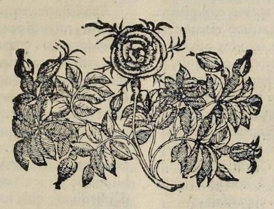 An illustration from Hieronymi Pradi et Ioannis Baptistae Villapandi e Societate Iesv In Ezechielem explanationes et apparatus vrbis ac templi Hierosolymitani : commentariis et imaginibvs illvstratvs : opvs tribvs tomis distinctvm .., 1596, leaf 62