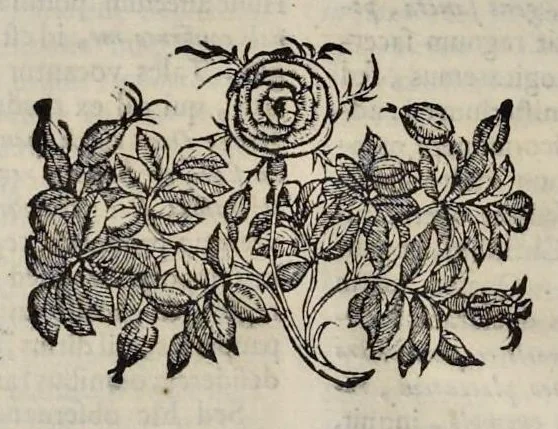 An illustration from Hieronymi Pradi et Ioannis Baptistae Villapandi e Societate Iesv In Ezechielem explanationes et apparatus vrbis ac templi Hierosolymitani : commentariis et imaginibvs illvstratvs : opvs tribvs tomis distinctvm .., 1596, leaf 79