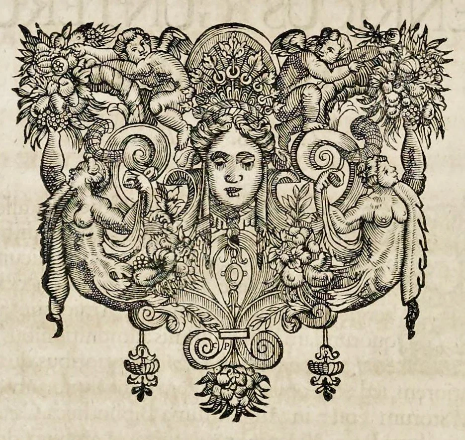 An illustration from Henrici Günteri Thülemarii ... Tractatio de Bulla Aurea, argentea, plumbea et cerea in genere, nec non in specie : de Aurea bulla Caroli IV imperatoris : Accedunt I. Textus Aureae bullae Caroli IV imper. anno 1356 Norimbergae & Metis sancitae ex autographo francofurtano fideliter descriptus. II. Copia MSti Aureae bullae Carolinae, quod in augustissima Bibliotheca vindobenensi invenitur ... III. & IV. Copiae duarum versionum germanicarum Aureae istius bullae, quae in dicta augustissima Bibliotheca caesarea & Curia francofurtana custodiuntur. V. Aurea bulla Andronici imperatoris constantinopolitani cum notis & addit. VI. Aurea bulla brabantina cum commentar. VII. Capitulatio Maximiliani II imperatoris ex originali, quod in serenissimi electoris palatini archivo adservatur, integra edita, 1697, leaf 13