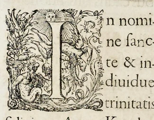 An illustration from Henrici Günteri Thülemarii ... Tractatio de Bulla Aurea, argentea, plumbea et cerea in genere, nec non in specie : de Aurea bulla Caroli IV imperatoris : Accedunt I. Textus Aureae bullae Caroli IV imper. anno 1356 Norimbergae & Metis sancitae ex autographo francofurtano fideliter descriptus. II. Copia MSti Aureae bullae Carolinae, quod in augustissima Bibliotheca vindobenensi invenitur ... III. & IV. Copiae duarum versionum germanicarum Aureae istius bullae, quae in dicta augustissima Bibliotheca caesarea & Curia francofurtana custodiuntur. V. Aurea bulla Andronici imperatoris constantinopolitani cum notis & addit. VI. Aurea bulla brabantina cum commentar. VII. Capitulatio Maximiliani II imperatoris ex originali, quod in serenissimi electoris palatini archivo adservatur, integra edita, 1697, leaf 163