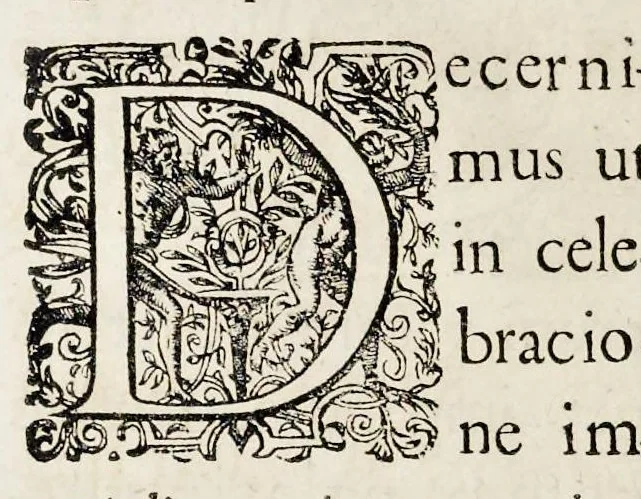 An illustration from Henrici Günteri Thülemarii ... Tractatio de Bulla Aurea, argentea, plumbea et cerea in genere, nec non in specie : de Aurea bulla Caroli IV imperatoris : Accedunt I. Textus Aureae bullae Caroli IV imper. anno 1356 Norimbergae & Metis sancitae ex autographo francofurtano fideliter descriptus. II. Copia MSti Aureae bullae Carolinae, quod in augustissima Bibliotheca vindobenensi invenitur ... III. & IV. Copiae duarum versionum germanicarum Aureae istius bullae, quae in dicta augustissima Bibliotheca caesarea & Curia francofurtana custodiuntur. V. Aurea bulla Andronici imperatoris constantinopolitani cum notis & addit. VI. Aurea bulla brabantina cum commentar. VII. Capitulatio Maximiliani II imperatoris ex originali, quod in serenissimi electoris palatini archivo adservatur, integra edita, 1697, leaf 171
