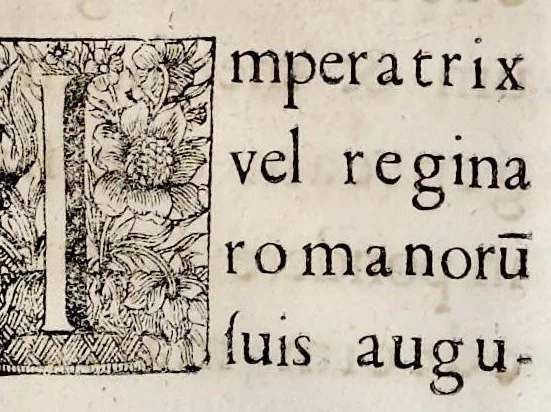 An illustration from Henrici Günteri Thülemarii ... Tractatio de Bulla Aurea, argentea, plumbea et cerea in genere, nec non in specie : de Aurea bulla Caroli IV imperatoris : Accedunt I. Textus Aureae bullae Caroli IV imper. anno 1356 Norimbergae & Metis sancitae ex autographo francofurtano fideliter descriptus. II. Copia MSti Aureae bullae Carolinae, quod in augustissima Bibliotheca vindobenensi invenitur ... III. & IV. Copiae duarum versionum germanicarum Aureae istius bullae, quae in dicta augustissima Bibliotheca caesarea & Curia francofurtana custodiuntur. V. Aurea bulla Andronici imperatoris constantinopolitani cum notis & addit. VI. Aurea bulla brabantina cum commentar. VII. Capitulatio Maximiliani II imperatoris ex originali, quod in serenissimi electoris palatini archivo adservatur, integra edita, 1697, leaf 214