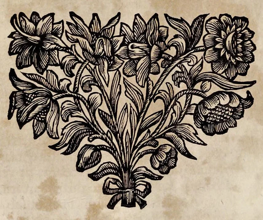 An illustration from Henrici Günteri Thülemarii ... Tractatio de Bulla Aurea, argentea, plumbea et cerea in genere, nec non in specie : de Aurea bulla Caroli IV imperatoris : Accedunt I. Textus Aureae bullae Caroli IV imper. anno 1356 Norimbergae & Metis sancitae ex autographo francofurtano fideliter descriptus. II. Copia MSti Aureae bullae Carolinae, quod in augustissima Bibliotheca vindobenensi invenitur ... III. & IV. Copiae duarum versionum germanicarum Aureae istius bullae, quae in dicta augustissima Bibliotheca caesarea & Curia francofurtana custodiuntur. V. Aurea bulla Andronici imperatoris constantinopolitani cum notis & addit. VI. Aurea bulla brabantina cum commentar. VII. Capitulatio Maximiliani II imperatoris ex originali, quod in serenissimi electoris palatini archivo adservatur, integra edita, 1697, leaf 324