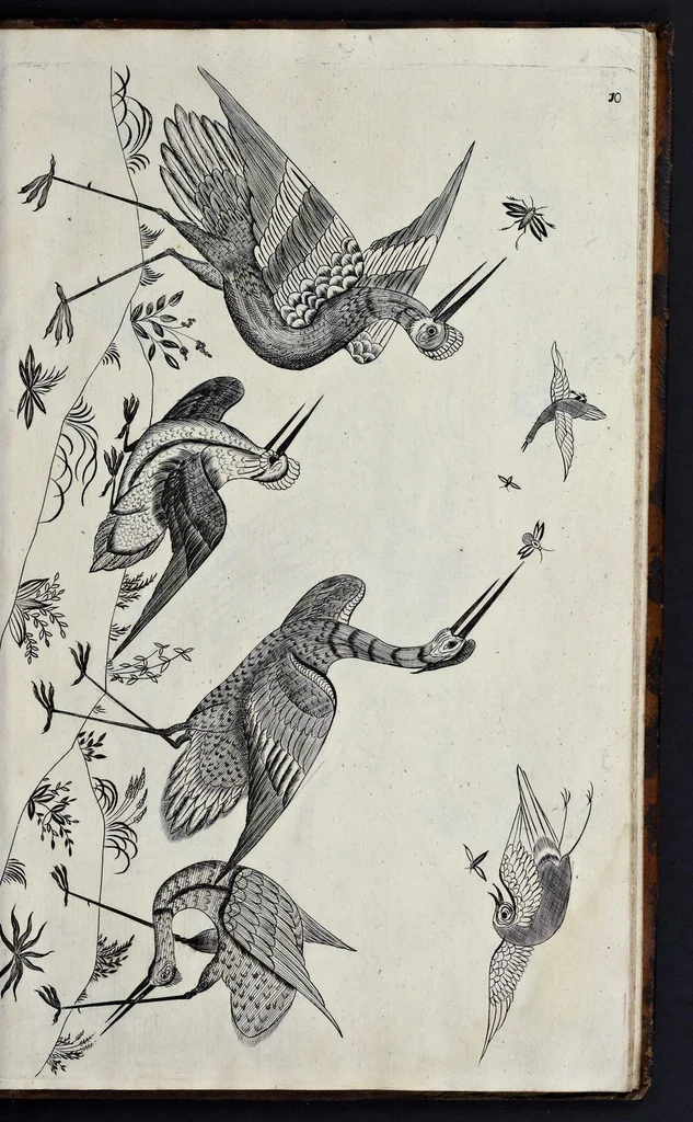 An illustration from A treatise of japaning and varnishing : being a compleat discovery of those arts, with the best way of making all sorts of varnish for japan, wood, prints, or pictures : the method of guilding, burnishing, and lackering, with the art of guilding, separating, and refining metals and of painting mezzo-tinto-prints : also rules for counterfeiting tortoise-shell, and marble, and for staining or dying wood, ivory, and horn : together with above an hundred distinct patterns for japan-work, in imitation of the indians, for tables, stands, frames, cabinets, boxes, &c., 1688, leaf 120