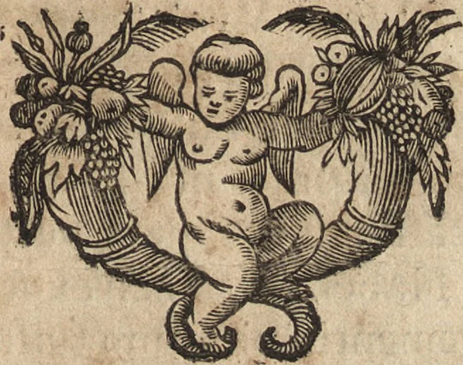 An illustration from Sancti Agobardi Archiepiscopi Lugdunensis opera : item epistolae et opuscula Leidradi et Amulonis, archiepiscoporum Lugdunensium, 1666, leaf 58