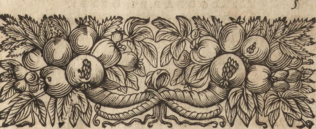 An illustration from Sancti Agobardi Archiepiscopi Lugdunensis opera : item epistolae et opuscula Leidradi et Amulonis, archiepiscoporum Lugdunensium, 1666, leaf 12