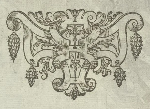 An illustration from Le diverse et artificiose machine, 1588, leaf 305