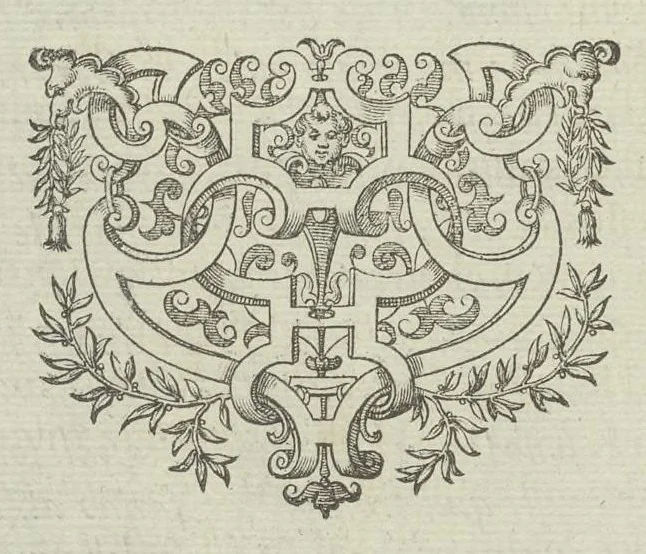 An illustration from Le diverse et artificiose machine, 1588, leaf 397