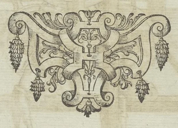 An illustration from Le diverse et artificiose machine, 1588, leaf 425