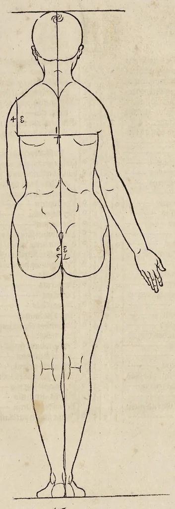 An illustration from Alberti Dureri clarissimi pictoris et geometrae de sym[m]etria partium in rectis formis hu[m]anorum corporum libri in Latinum conuersi, 1532, leaf 104