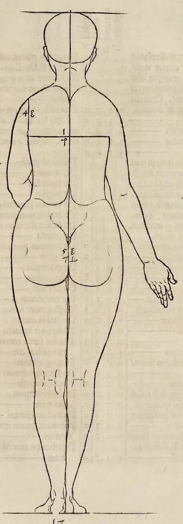An illustration from Alberti Dureri clarissimi pictoris et geometrae de sym[m]etria partium in rectis formis hu[m]anorum corporum libri in Latinum conuersi, 1532, leaf 108