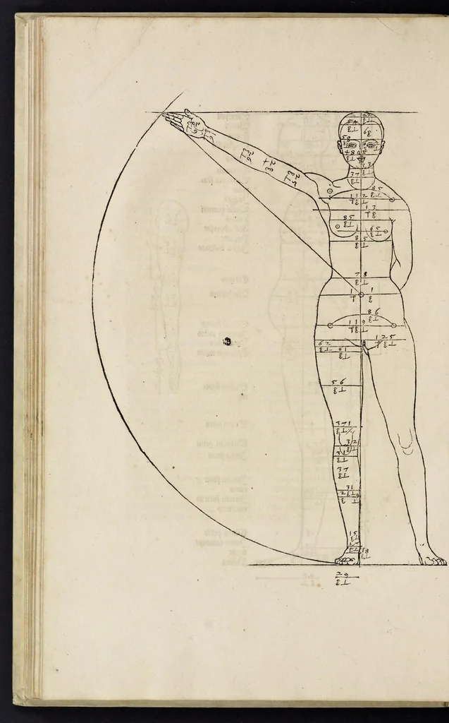 An illustration from Alberti Dureri clarissimi pictoris et geometrae de sym[m]etria partium in rectis formis hu[m]anorum corporum libri in Latinum conuersi, 1532, leaf 117