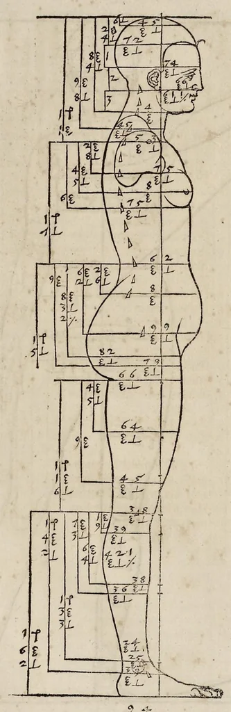 An illustration from Alberti Dureri clarissimi pictoris et geometrae de sym[m]etria partium in rectis formis hu[m]anorum corporum libri in Latinum conuersi, 1532, leaf 132