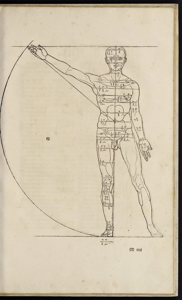 An illustration from Alberti Dureri clarissimi pictoris et geometrae de sym[m]etria partium in rectis formis hu[m]anorum corporum libri in Latinum conuersi, 1532, leaf 138