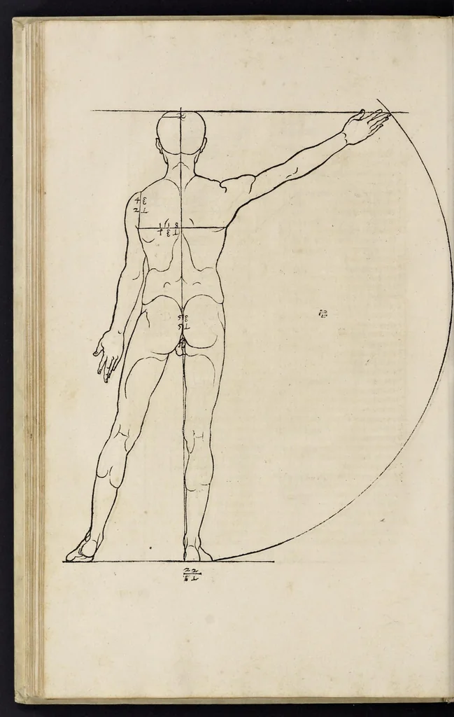 An illustration from Alberti Dureri clarissimi pictoris et geometrae de sym[m]etria partium in rectis formis hu[m]anorum corporum libri in Latinum conuersi, 1532, leaf 139