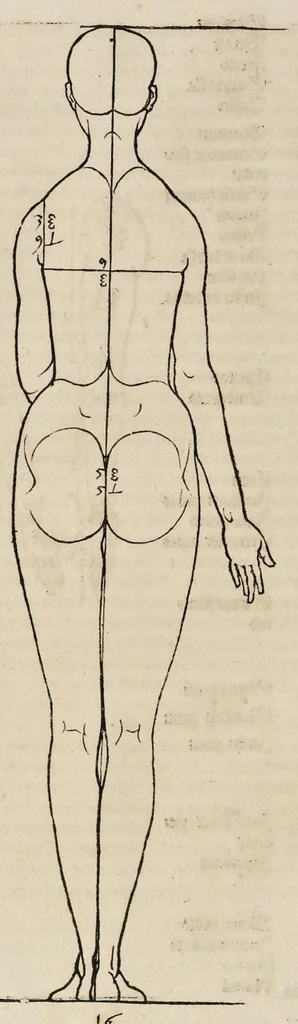 An illustration from Alberti Dureri clarissimi pictoris et geometrae de sym[m]etria partium in rectis formis hu[m]anorum corporum libri in Latinum conuersi, 1532, leaf 157