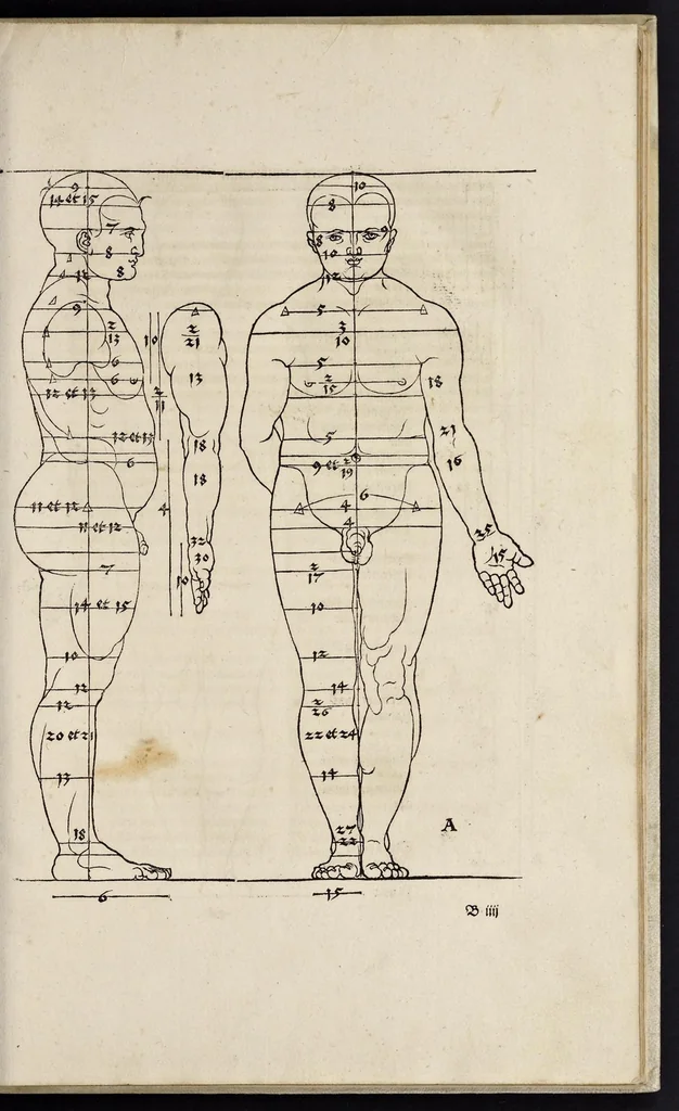 An illustration from Alberti Dureri clarissimi pictoris et geometrae de sym[m]etria partium in rectis formis hu[m]anorum corporum libri in Latinum conuersi, 1532, leaf 22