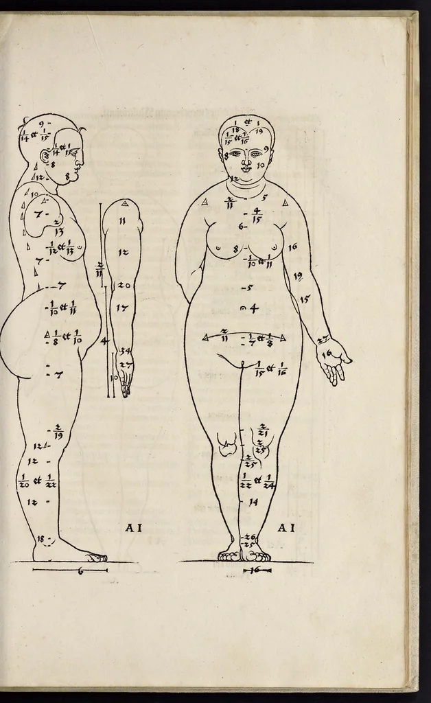 An illustration from Alberti Dureri clarissimi pictoris et geometrae de sym[m]etria partium in rectis formis hu[m]anorum corporum libri in Latinum conuersi, 1532, leaf 26