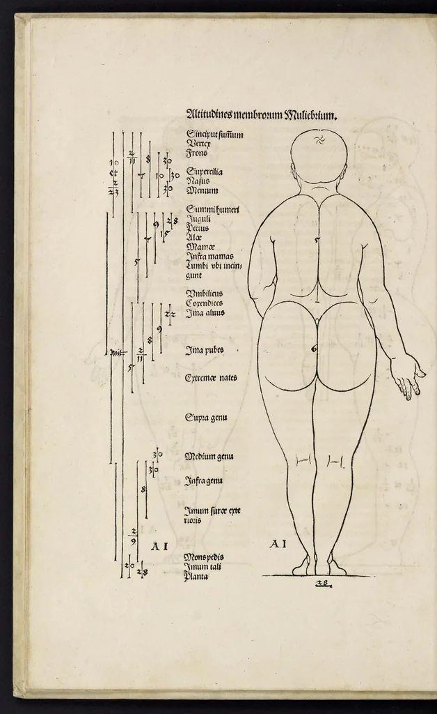 An illustration from Alberti Dureri clarissimi pictoris et geometrae de sym[m]etria partium in rectis formis hu[m]anorum corporum libri in Latinum conuersi, 1532, leaf 27