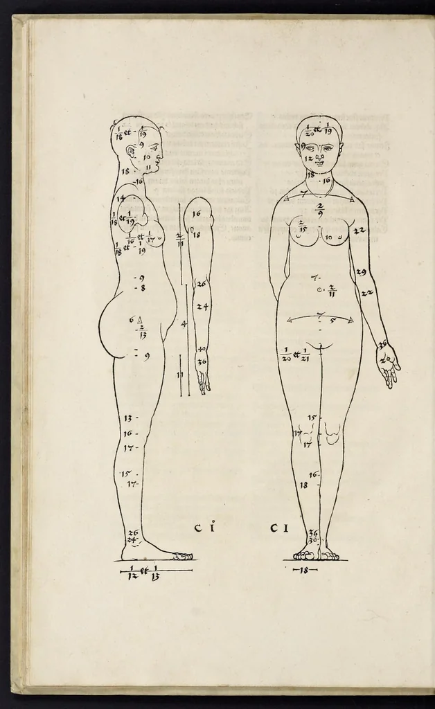 An illustration from Alberti Dureri clarissimi pictoris et geometrae de sym[m]etria partium in rectis formis hu[m]anorum corporum libri in Latinum conuersi, 1532, leaf 41