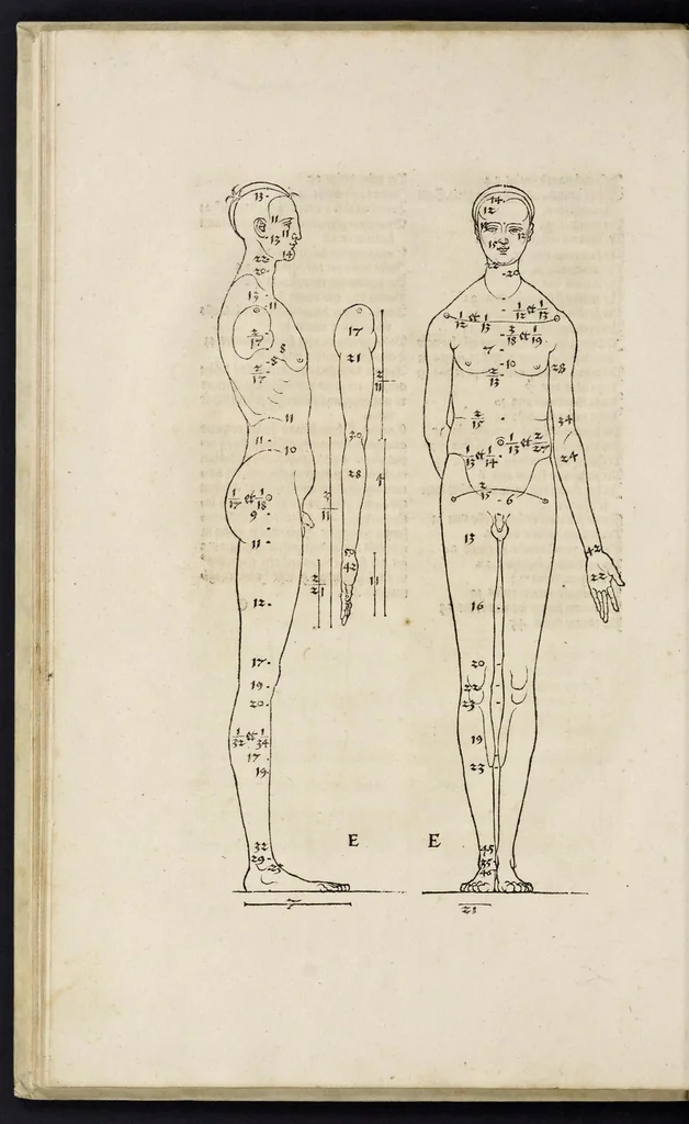 An illustration from Alberti Dureri clarissimi pictoris et geometrae de sym[m]etria partium in rectis formis hu[m]anorum corporum libri in Latinum conuersi, 1532, leaf 53