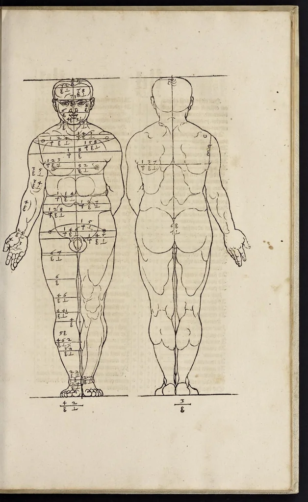 An illustration from Alberti Dureri clarissimi pictoris et geometrae de sym[m]etria partium in rectis formis hu[m]anorum corporum libri in Latinum conuersi, 1532, leaf 82