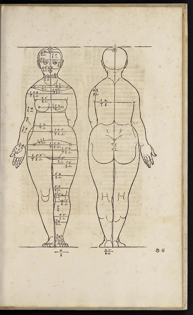 An illustration from Alberti Dureri clarissimi pictoris et geometrae de sym[m]etria partium in rectis formis hu[m]anorum corporum libri in Latinum conuersi, 1532, leaf 86