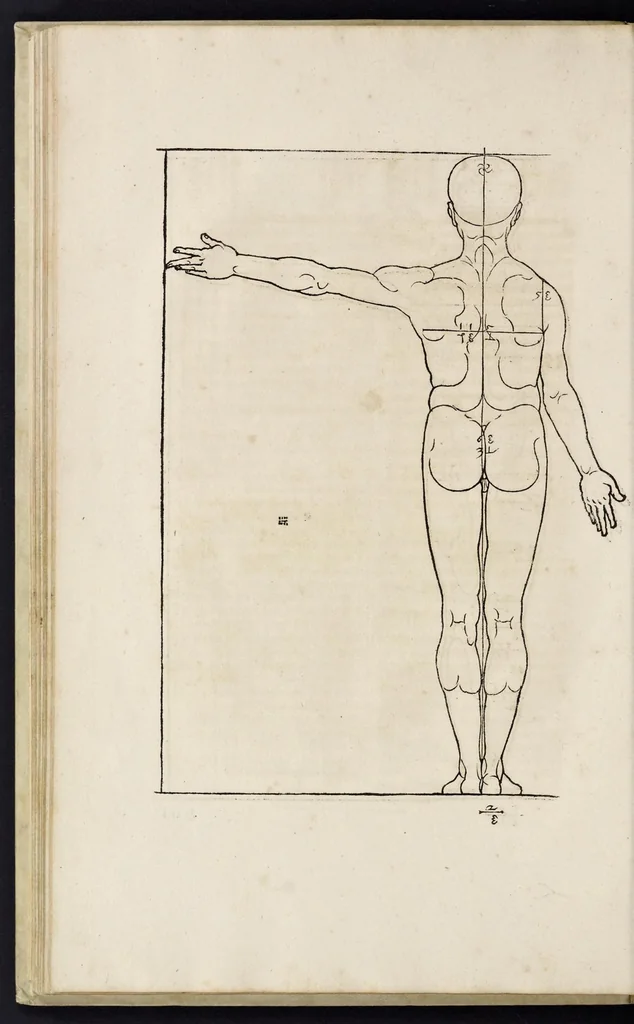 An illustration from Alberti Dureri clarissimi pictoris et geometrae de sym[m]etria partium in rectis formis hu[m]anorum corporum libri in Latinum conuersi, 1532, leaf 91