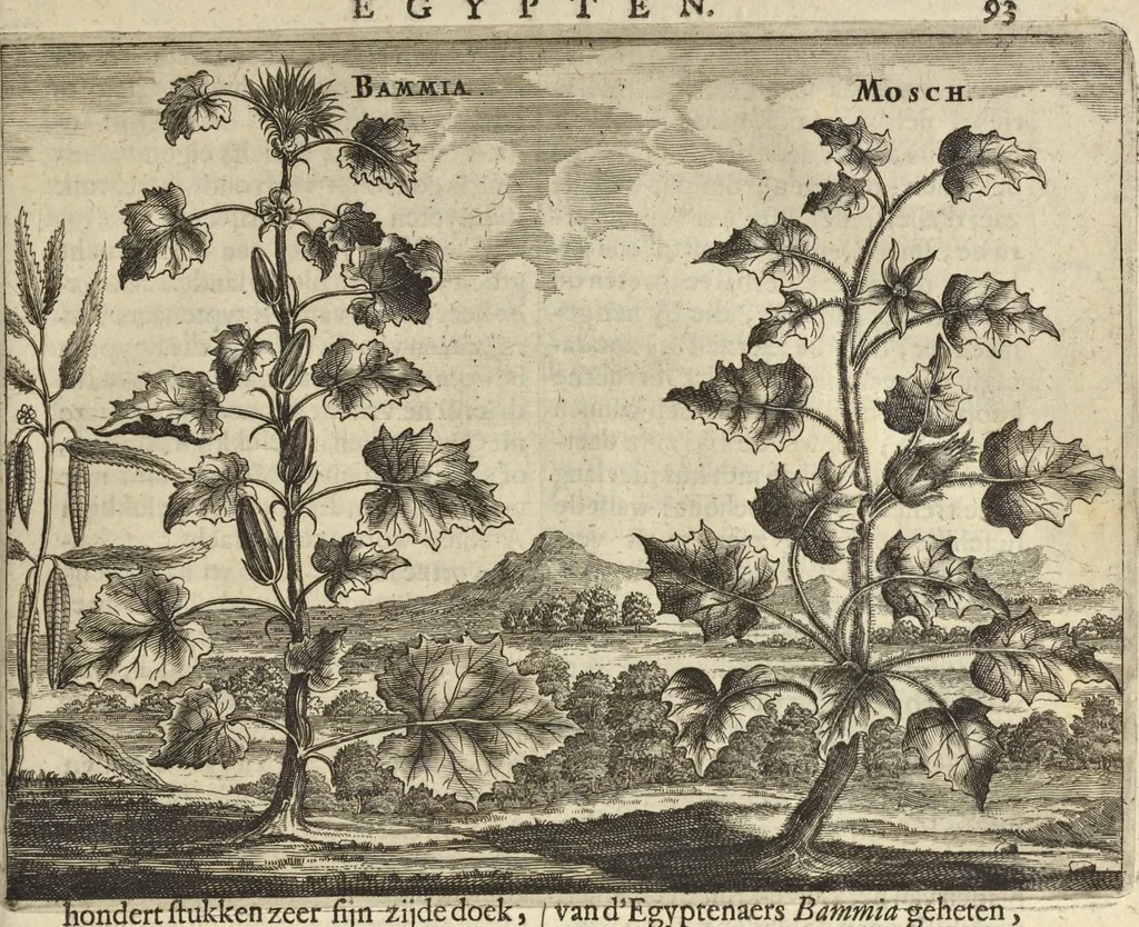An illustration from Naukeurige beschrijvinge der Afrikaensche gewesten van Egypten, Barbaryen, Libyen, Biledulgerid, Negroslant, Guinea, Ethiopiën, Abyssinie ... : getrokken uit verscheyde hedendaegse lantbeschrijvers en geschriften van bereisde ondersoekers dier landen, 1668, leaf 128