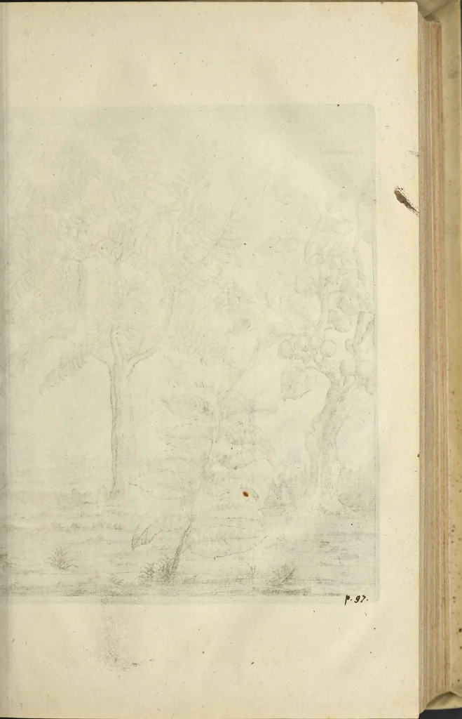 An illustration from Naukeurige beschrijvinge der Afrikaensche gewesten van Egypten, Barbaryen, Libyen, Biledulgerid, Negroslant, Guinea, Ethiopiën, Abyssinie ... : getrokken uit verscheyde hedendaegse lantbeschrijvers en geschriften van bereisde ondersoekers dier landen, 1668, leaf 132