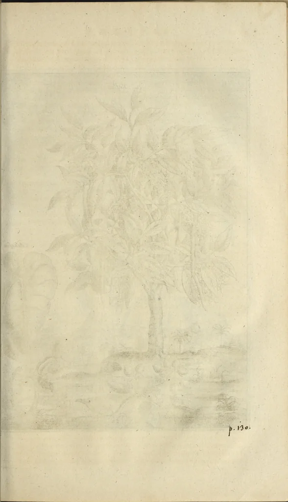 An illustration from Naukeurige beschrijvinge der Afrikaensche gewesten van Egypten, Barbaryen, Libyen, Biledulgerid, Negroslant, Guinea, Ethiopiën, Abyssinie ... : getrokken uit verscheyde hedendaegse lantbeschrijvers en geschriften van bereisde ondersoekers dier landen, 1668, leaf 174